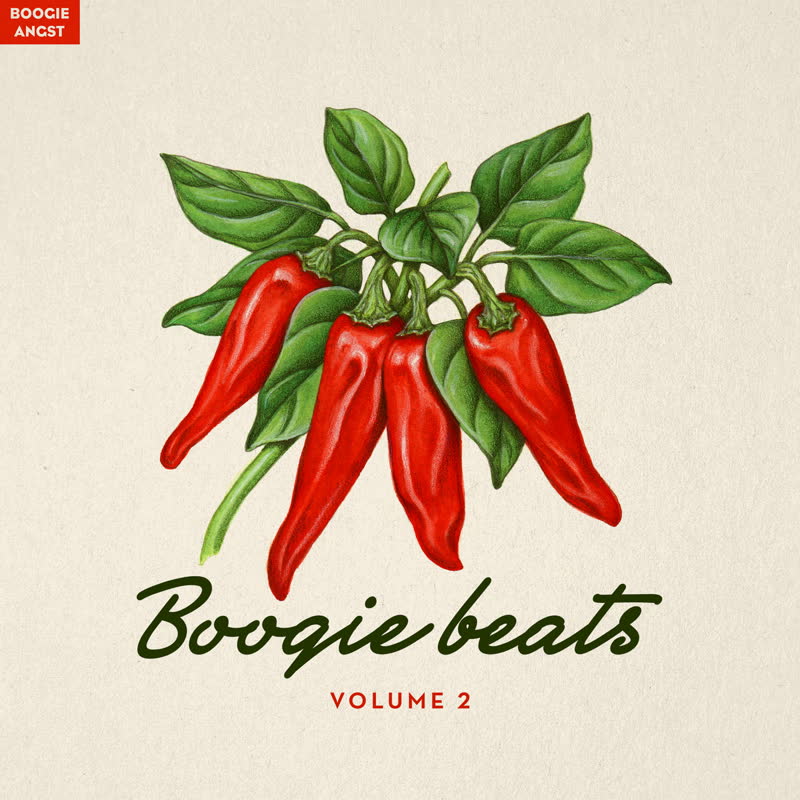 BOOGIE BEATS VOL. 2 - ɥĤ