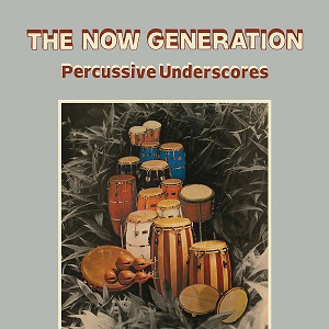 THE NOW GENERATION (PERCUSSIVE UNDERSCORES) (LP) - ɥĤ