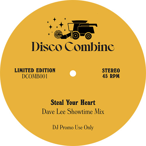 DISCO COMBINE 001 - DAVE LEE MIXES