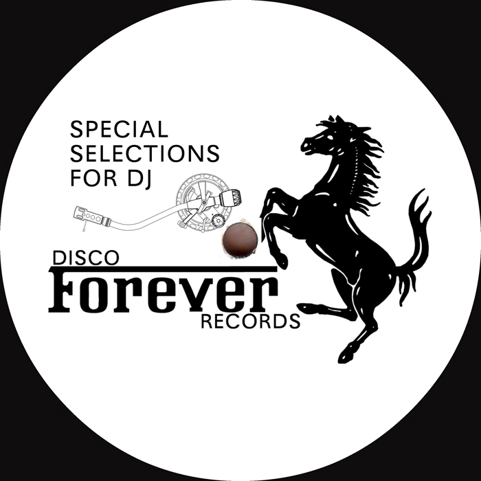 SPECIAL SELECTION FOR DJ - ɥĤ