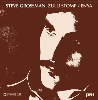 ZULU STOMP / ENYA (7 inch) - ɥĤ