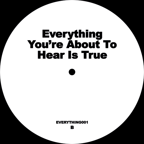 EVERYTHING YOURE ABOUT TO HEAR IS TRUE - ɥĤ