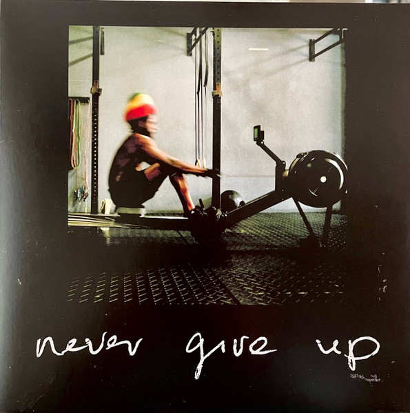 NEVER GIVE UP (10 inch)