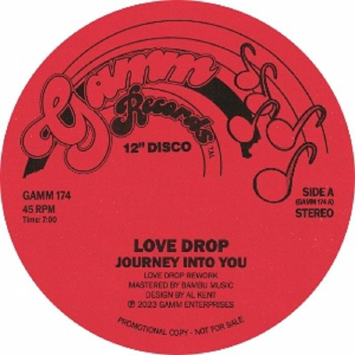 JOURNEY INTO YOU / BOOGIE DOWN