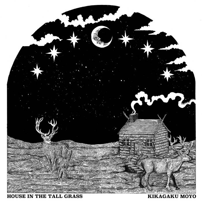 HOUSE IN THE TALL GRASS (LP)