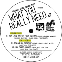WHAT YOU REALLY NEED EP