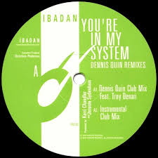 YOU'RE IN MY SYSTEM (DENNIS QUIN REMIXES)