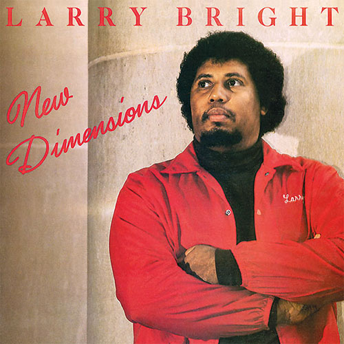 NEW DIMENSIONS (LP) -RSD LIMITED-