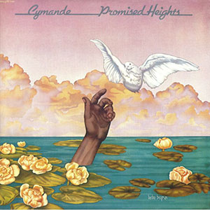 PROMISED HEIGHTS (LP) -RSD LIMITED-
