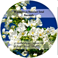 MYSTERIOUS RUSSIAN SOUL VOL.1