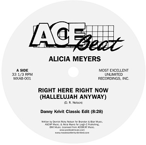 RIGHT HERE RIGHT NOW (HALLELUJAH ANYWAY)-DANNY KRIVIT EDIT - ɥĤ