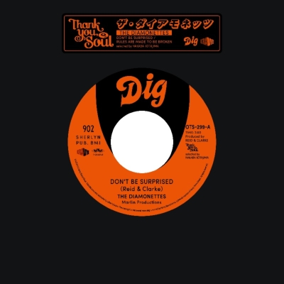 DON'T BE SURPRISED / RULES ARE MADE TO BE BROKEN (7 inch)