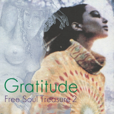GRATITUDE - SUBURBIA MEETS ULTRA-VYBE FREE SOUL TREASURE 2 (LP)