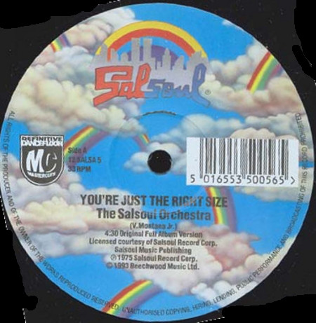 YOU ARE JUST THE RIGHT SIZE / RUNAWAY (USED)
