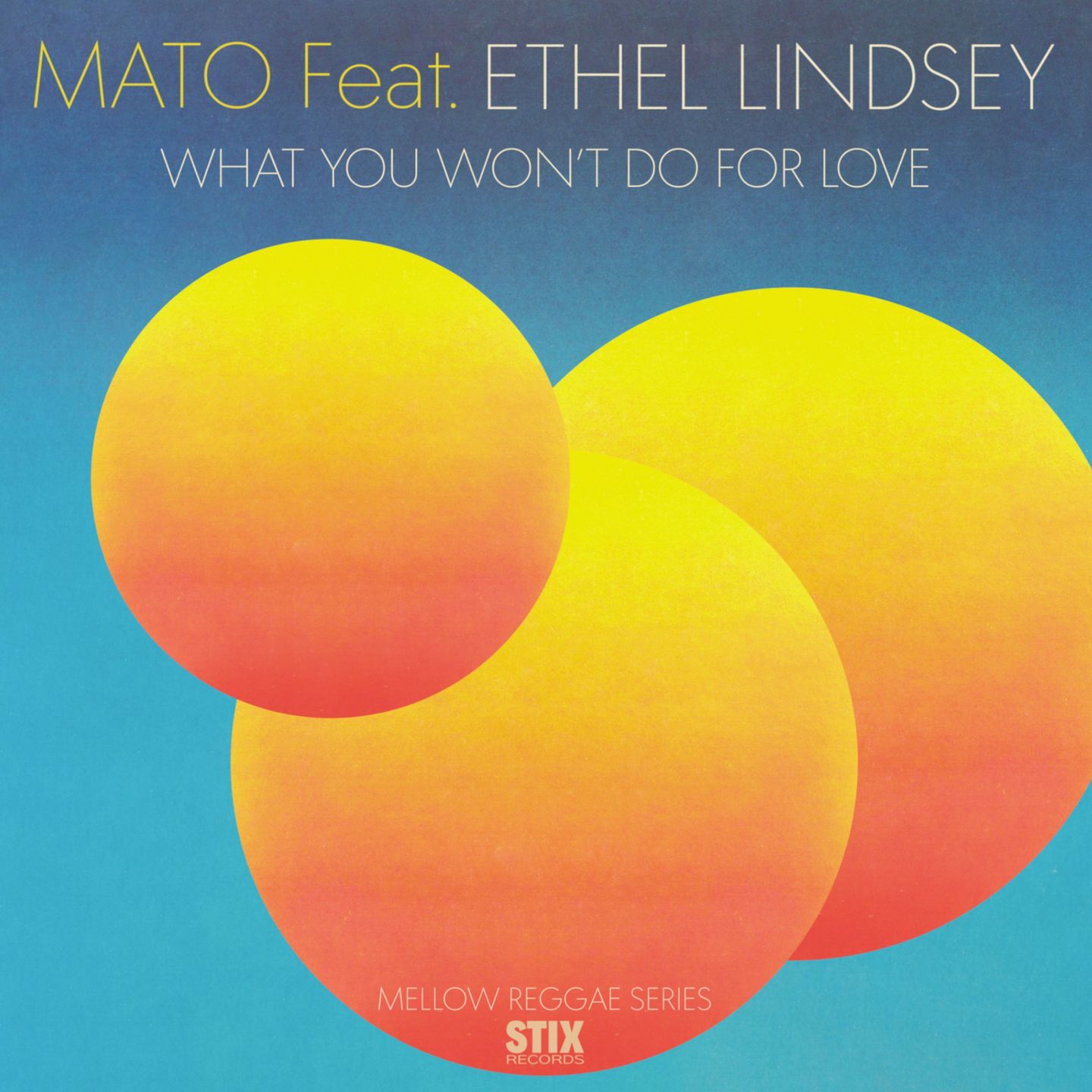 WHAT YOU WON'T DO FOR LOVE (ft. ETHEL LINDSEY) (7 inch) [STIX059