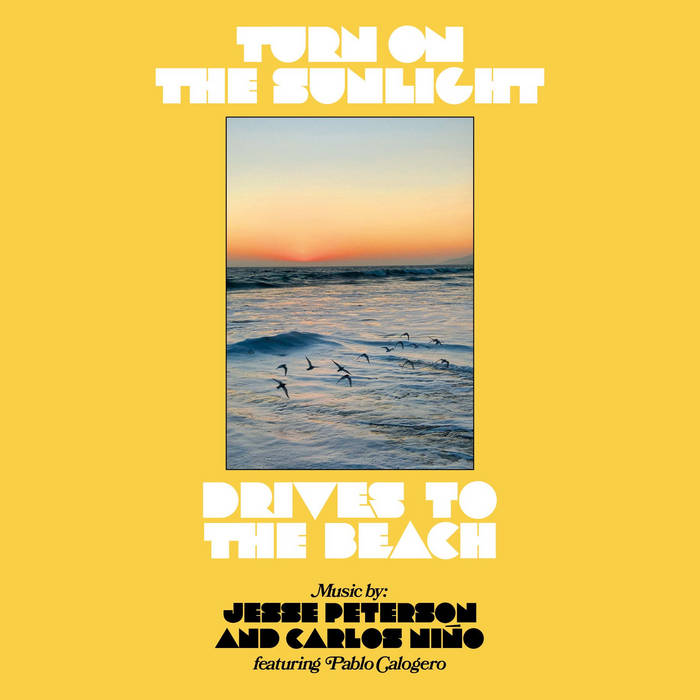 DRIVES TO THE BEACH (LP)