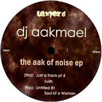 THE AAK OF NOISE EP - ɥĤ