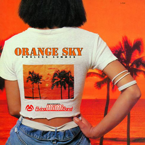 ORANGE SKY- ENDLESS SUMMER- (LP) - ɥĤ