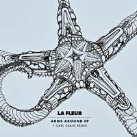 ARMS AROUND EP (Incl. CARL CRAIG REMIX) - ɥĤ