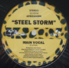 STEEL STORM